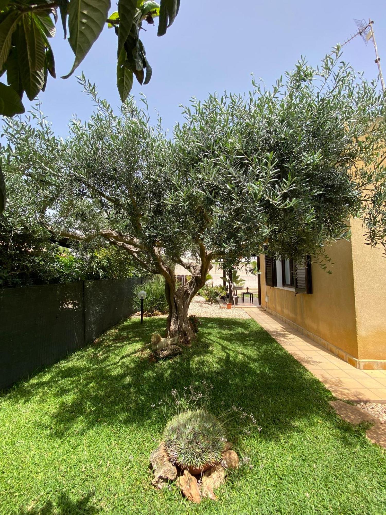 Villa Barbera Marsala Eksteriør bilde